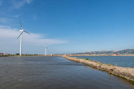 The green plants on the saline alkali land and the water reflect the sceneryの写真素材
