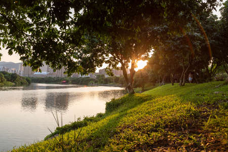 Trees and rivers in the park at sunsetの写真素材