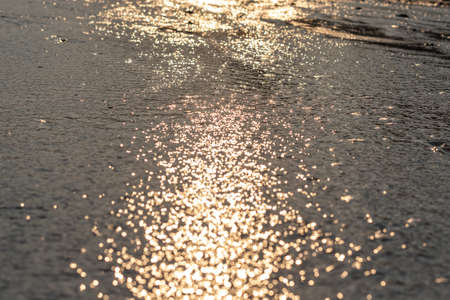 The beach under the setting sun is golden.の写真素材