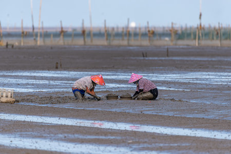 Two fishmans working on the black beachの写真素材