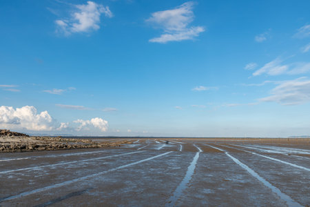 The beach under the blue sky and white clouds, fertile black land
