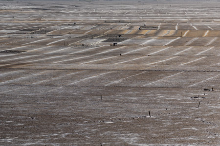 The sun set and the afterglow shone golden on the shoalの写真素材