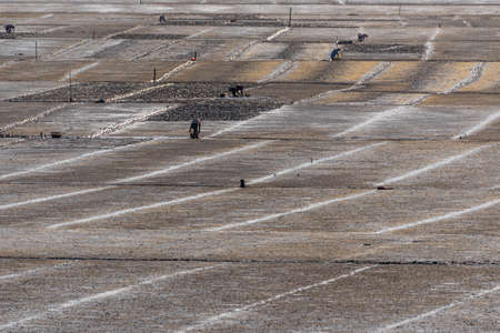 The sun set and the afterglow shone golden on the shoalの写真素材