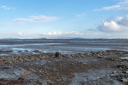 The beach under the blue sky and white clouds, fertile black landの写真素材