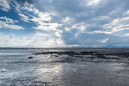 The beach under the blue sky and white clouds, fertile black landの写真素材