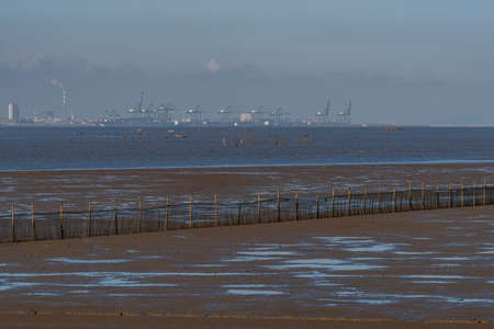 The  shoal  at dusk, light yellow light and black landの写真素材
