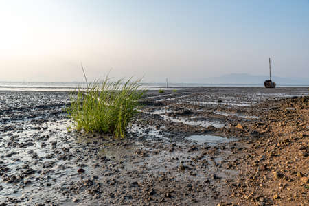 The sun set and the afterglow shone golden on the shoalの写真素材