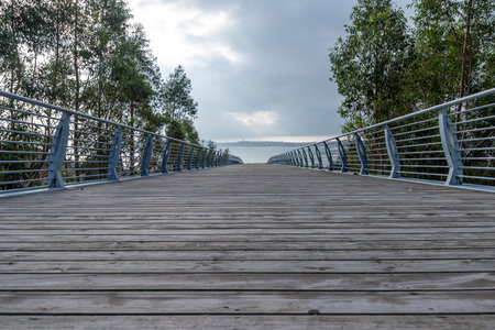 The long and wide wooden passage under the blue sky and white clouds leads to the distanceの写真素材