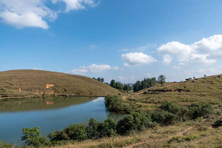 Under the blue sky, the natural lake on the meadow has yellow grass and blue waterの写真素材