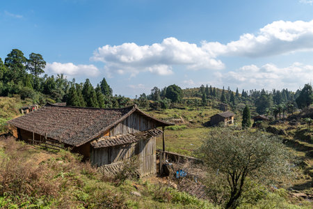 Abandoned houses on rural meadowsの写真素材