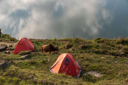 The natural lake on the meadow has many tents by the lakeの写真素材