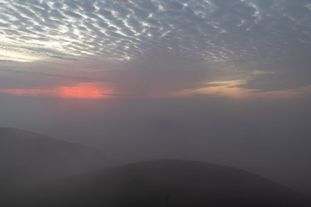 Sunrise in fog on the grassland
