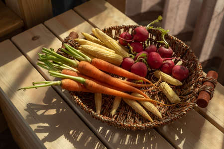 The afternoon sun shines on the red and orange radishes in the basketの写真素材