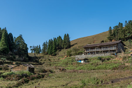 Abandoned houses on rural meadowsのeditorial素材