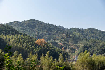 Fields and houses in the countryside under the blue skyの写真素材