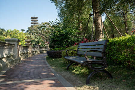 There are green trees on both sides of the road in the sun. It's good weather.の写真素材