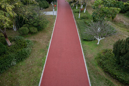 The red asphalt runway in the modern city park is surrounded by green plants on both sidesの写真素材