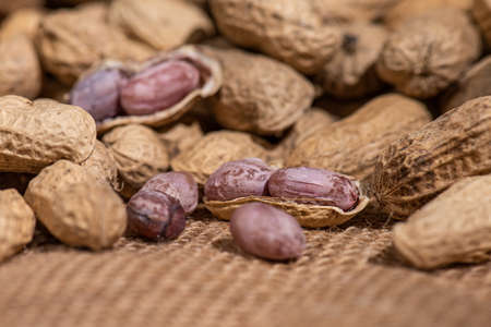 The peeled peanuts are placed among many peanutsの写真素材