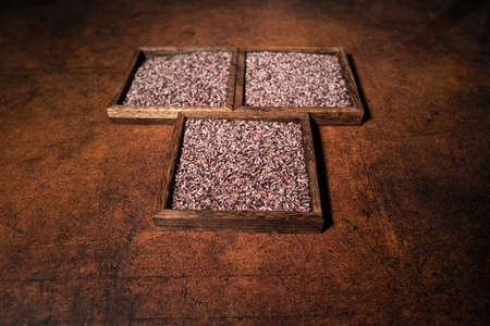 Black rice on square plates in dark lightの写真素材