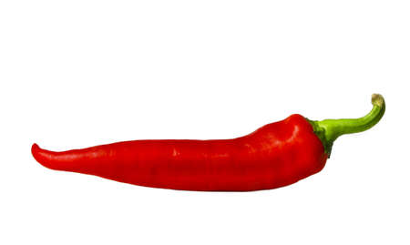 Red chili pepper isolated on whiteの写真素材