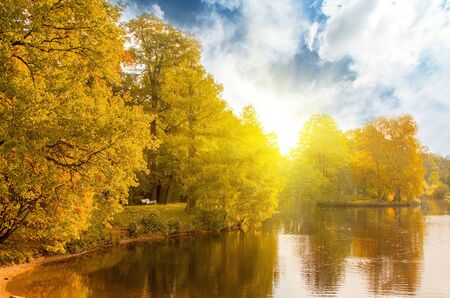 beautiful forest at sunrise at fall. nature backgroundの写真素材