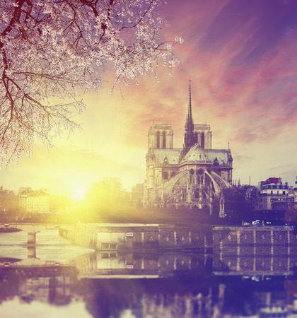 Notre Dame at sunset in Paris, France with cloud in form of heart. Business, Love and travel conceptの写真素材