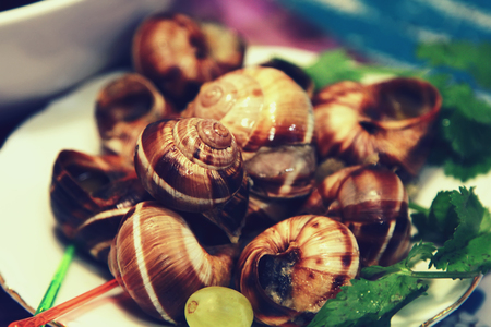Delicacy lunch starter, Burgundy snail on a plate. Vintage colored pictureの写真素材