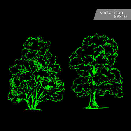 set of hand drawn tree sketches. Artistic drawing.のイラスト素材