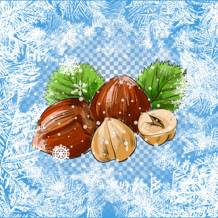 Set of vector icons of nuts - hazelnuts, brazil nuts, peanuts, pistachio and ground nuts isolated on whiteのイラスト素材
