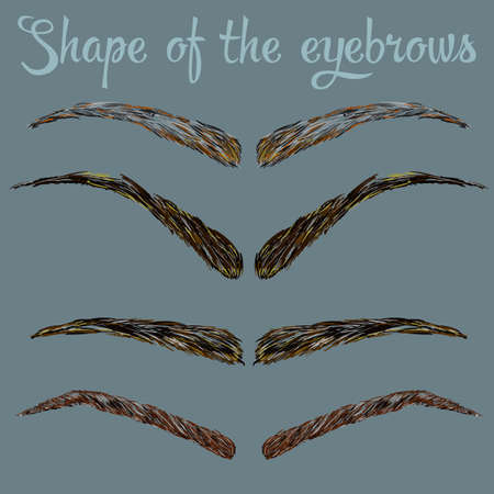 Female eyebrows in different shapes vector illustrationのイラスト素材