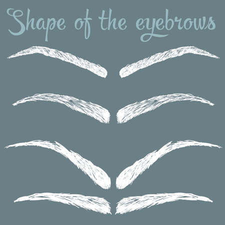 Female eyebrows in different shapes vector illustrationのイラスト素材