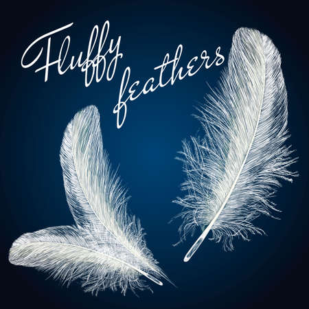 Vector white feathers collection, set of different falling fluffy twirled feathers, isolated on blue background.のイラスト素材