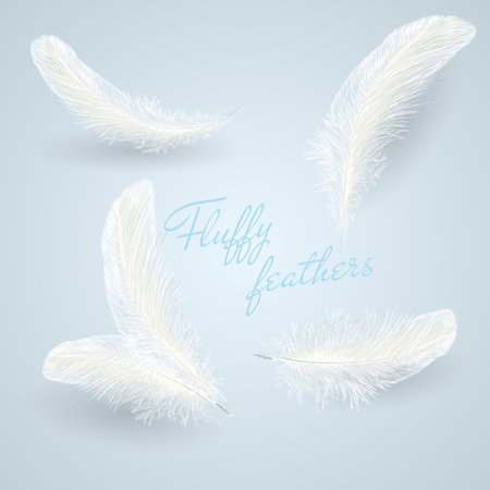 Set of isolated falling white fluffy white twirled feathers on blue background in realistic style vector illustrationのイラスト素材