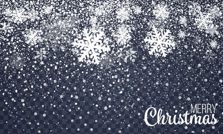 Falling snowflake on transparent background. Winter background. Vectorのイラスト素材