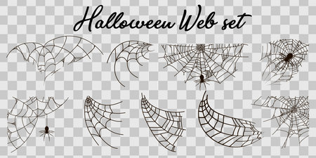 Vector illustration Halloween spider web isolated on white background. Hector venom cobweb set.のイラスト素材