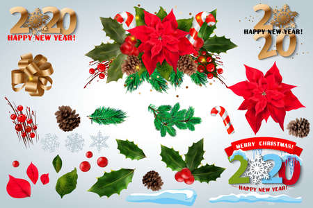 Red poinsettia vector flowers set. 2020 Christmas symbols illustration. Pulcherrima blooming plant on transparent background. Traditional Christmas poinsettia flower with green leaves and red petals.のイラスト素材