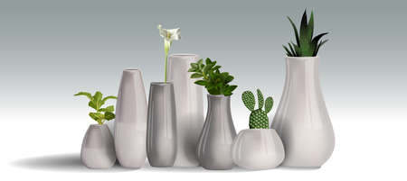 House plants realistic white wall interior. vector illustration. Set of decorative houseplants to decorate the interior of a house or apartment.のイラスト素材