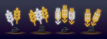 Glowing neon icon with ear of wheat, rye, malt, barley for night beer bar. Neon style background. Ears of wheat bread symbols. Agriculture wheat symbolのイラスト素材