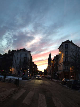 Brusselsの素材