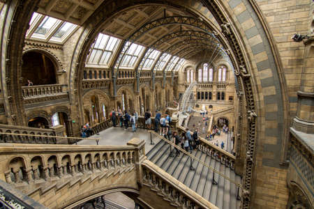 London, UK - July 25, 2017: People visiting the new Hintze hall in the Natural History Museum featuring a blue whale skeletonのeditorial素材