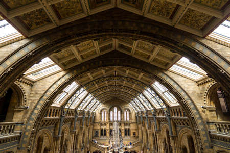 London, UK - July 25, 2017: People visiting the new Hintze hall in the Natural History Museum featuring a blue whale skeletonのeditorial素材