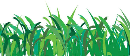 Seamless pattern of green grassのイラスト素材
