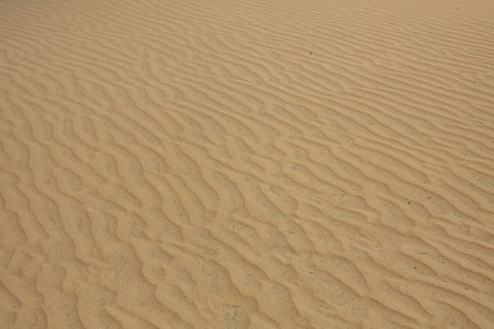 Gran Canaria dunes - Maspalomas sand desert, Spainの写真素材