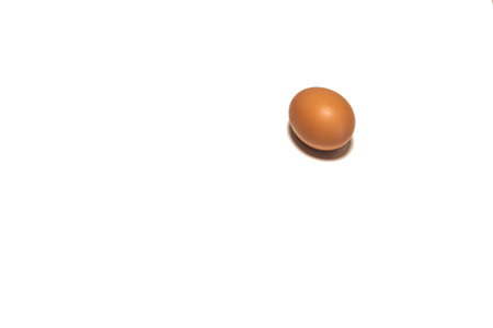 Organic brown chicken egg on white backgroundの写真素材