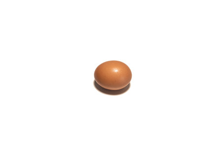 Organic brown chicken egg on white backgroundの写真素材