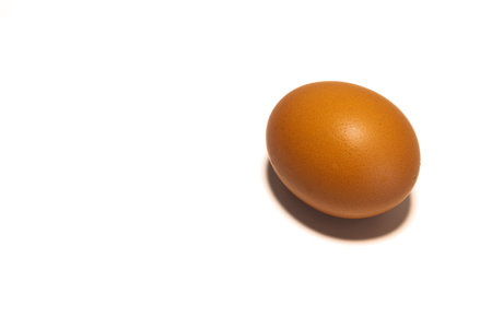 Organic brown chicken egg on white backgroundの写真素材
