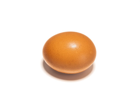 Organic brown chicken egg on white backgroundの写真素材