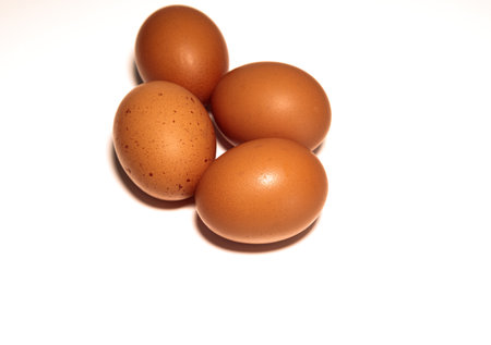 Four brown egg isolated on white backgroundの写真素材