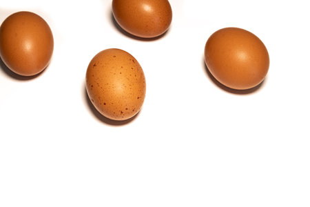 Four brown egg isolated on white backgroundの写真素材