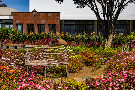A Wooden Bench among a Garden of Blooming Flowers on Madeiraの写真素材